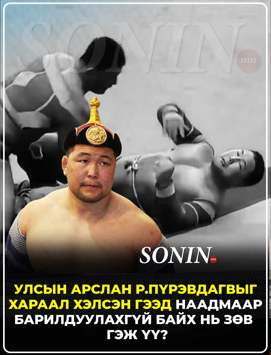 sonin.mn